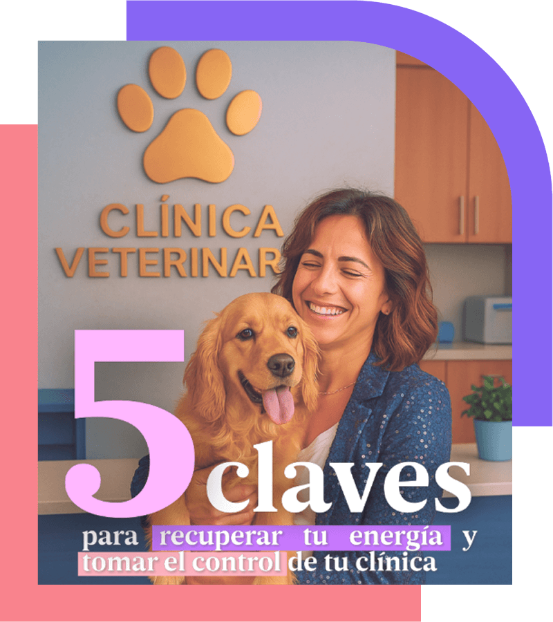 Guía 5 claves Del caos a la calma